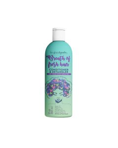 Urban Hydration Breath of Fresh Hair Conditioner & Detangler