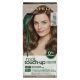 Clairol Root Touch-Up Natural Instincts Permanent Hair Dye 6.5 Bronde Hair Color Pack of 1 - 0d613df2-09c8-4f48-92aa-b47ebc6b4d49.331c8c9e4dc10024335e6c7c29c07bd6.jpg